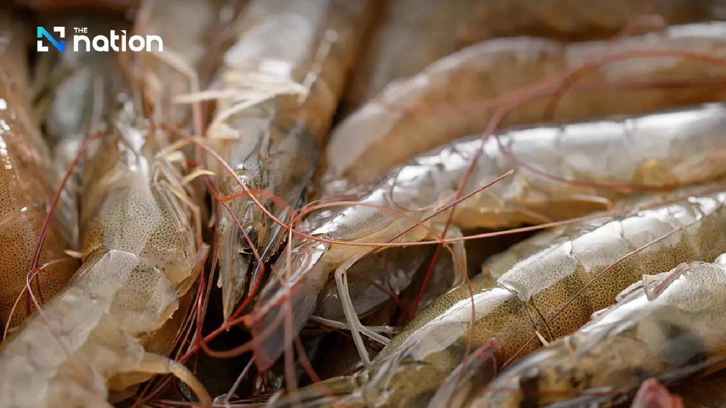 Commerce Ministry to raise Malaysia shrimp ban at WTO, ASEAN as 13 relief measures rolled out Commerce Ministry to raise Malaysia shrimp ban at WTO, ASEAN as 13 relief measures rolled out