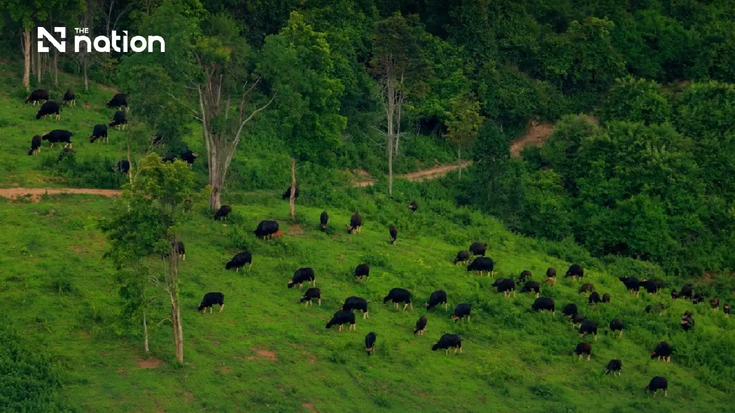 Thap Lan National Park warns against illegal land sales and transfers