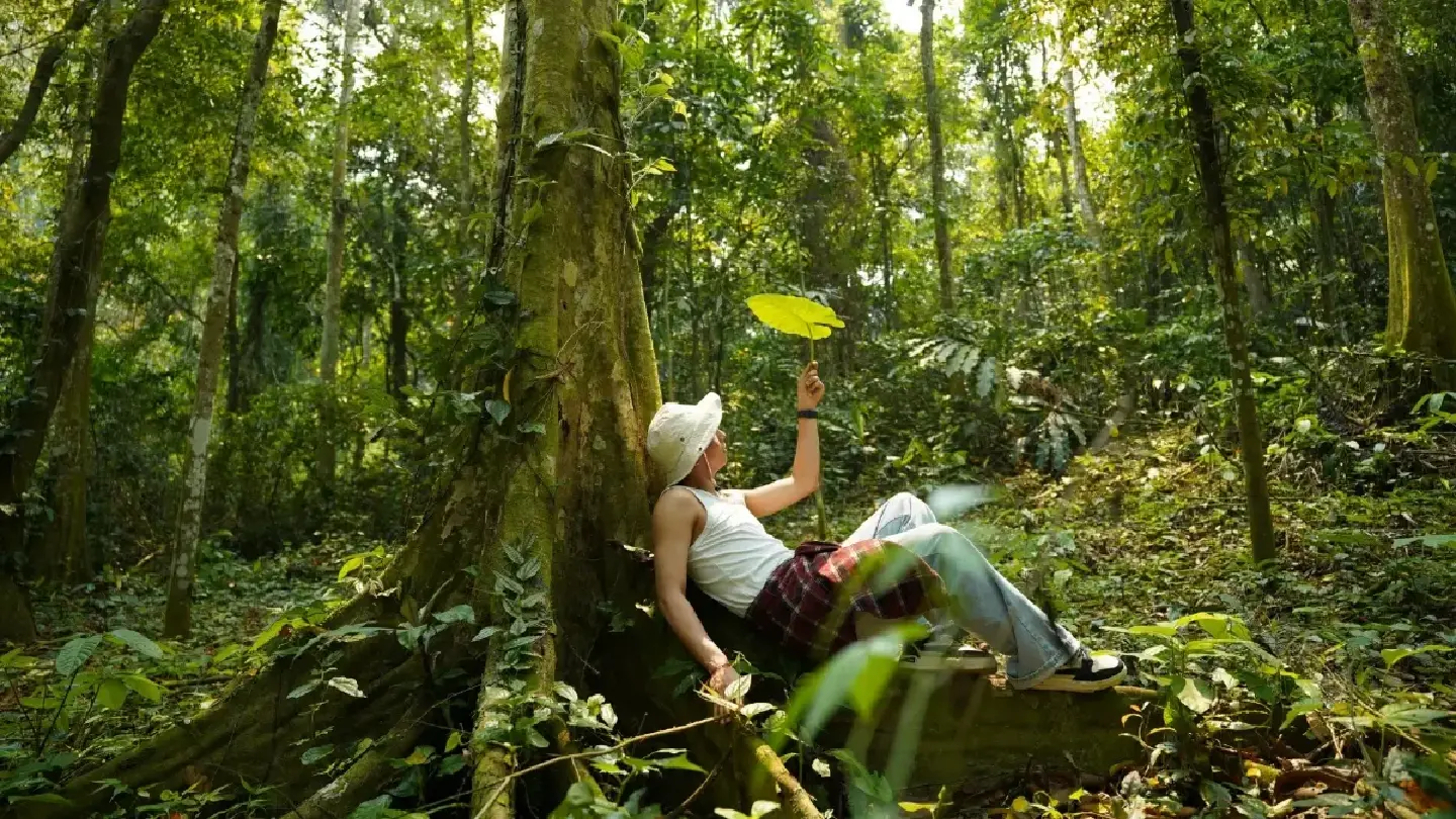 TAT launches WILD AWAKE JOURNEY to promote green-season conservation travel