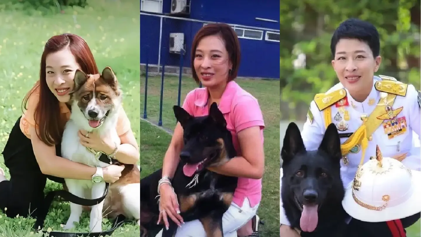 A Legacy of Limitless Grace: How Princess Bajrakitiyabha’s Royal Rescue Dogs Redefined Compassion A Legacy of Limitless Grace: How Princess Bajrakitiyabha’s Royal Rescue Dogs Redefined Compassion