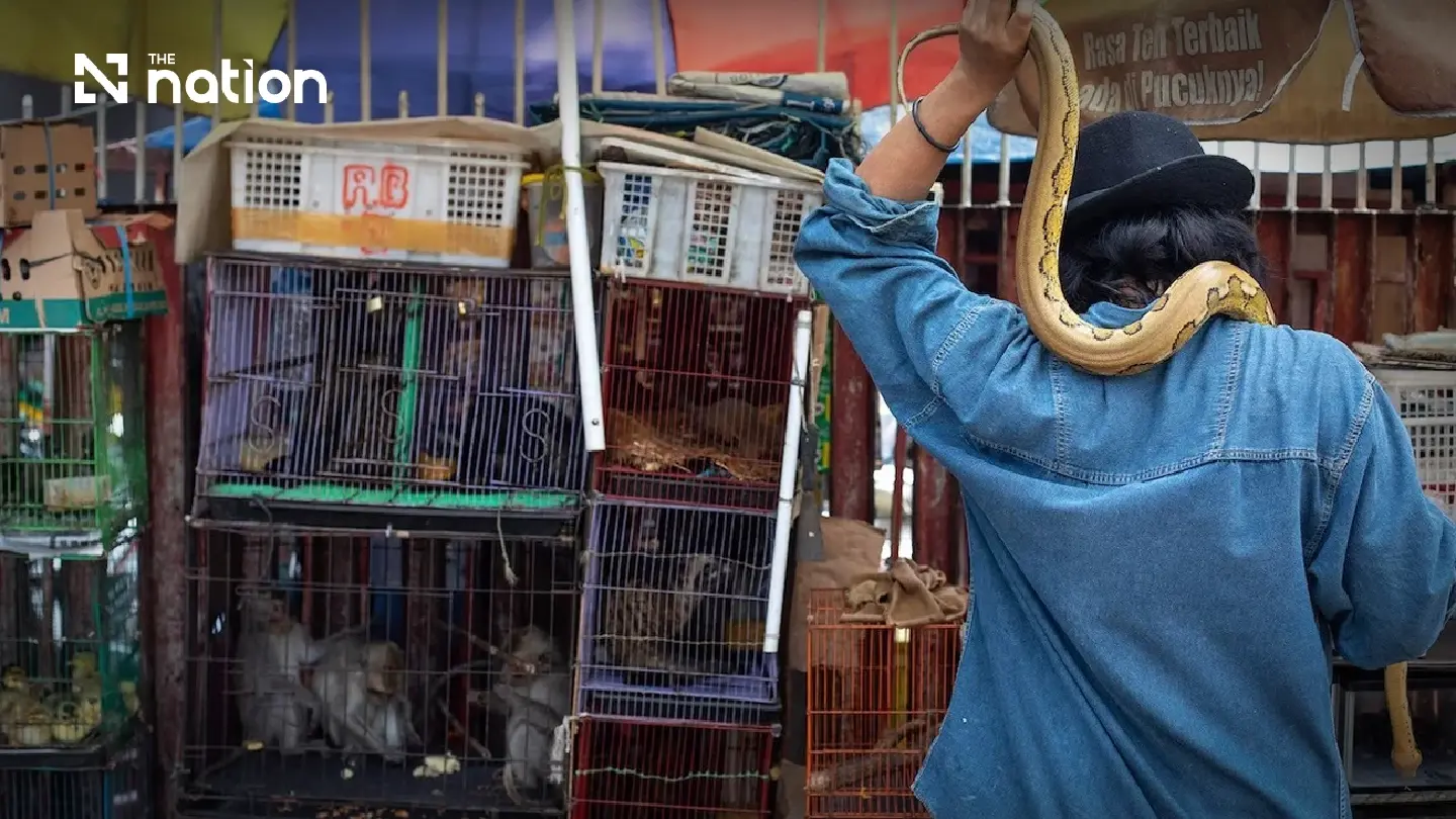 The Wildlife Trade: A Breeding Ground for New Zoonotic Diseases The Wildlife Trade: A Breeding Ground for New Zoonotic Diseases