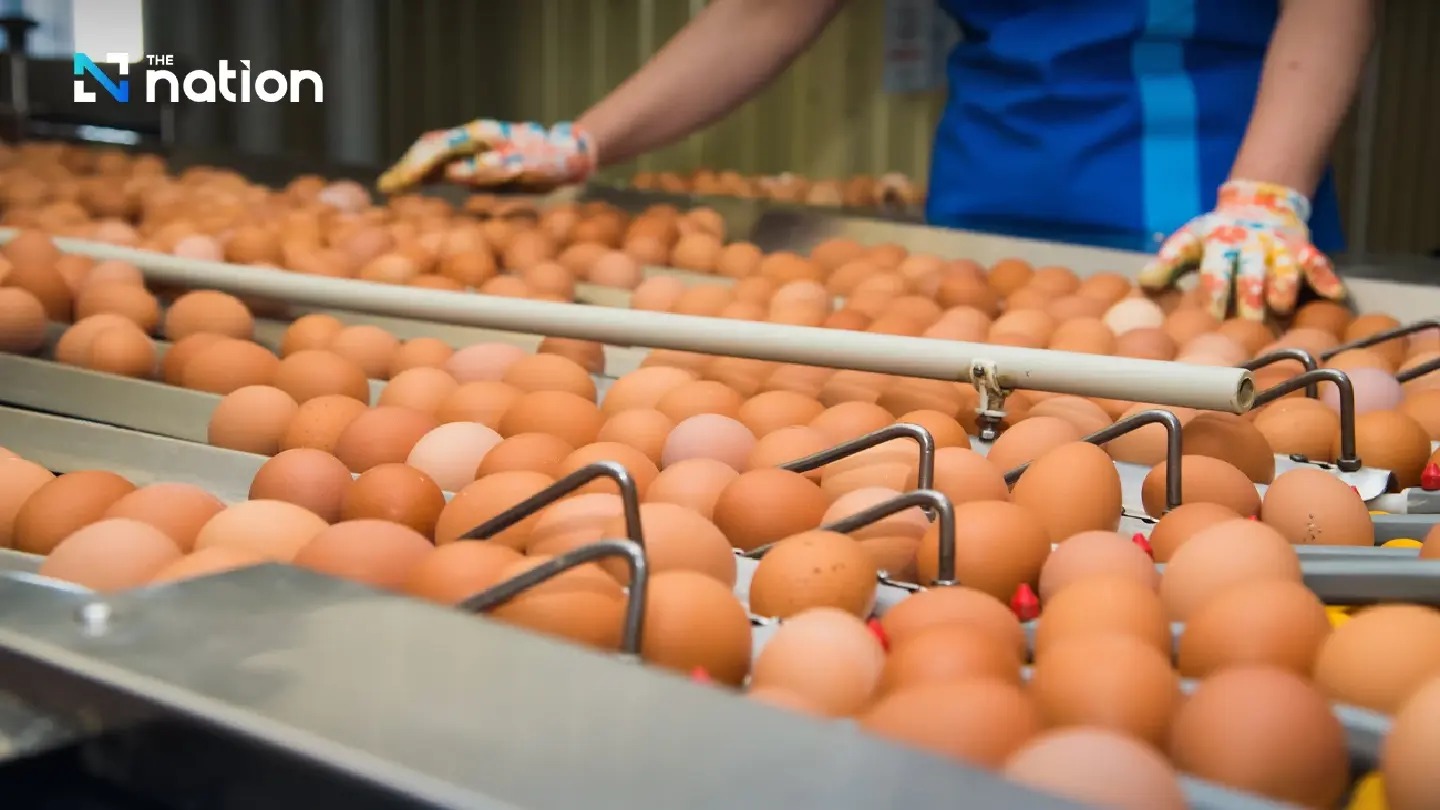 Egg prices rise 20 satang as feed costs squeeze Thai farmers Egg prices rise 20 satang as feed costs squeeze Thai farmers
