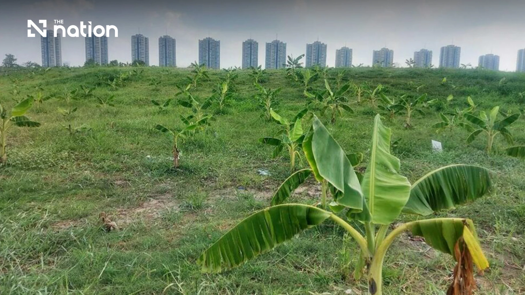 Bangkok Moves to Plug Urban Property Loophole Used by Landowners to Avoid Taxes