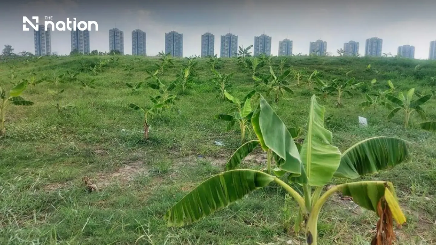 Bangkok Moves to Plug Urban Property Loophole Used by Landowners to Avoid Taxes