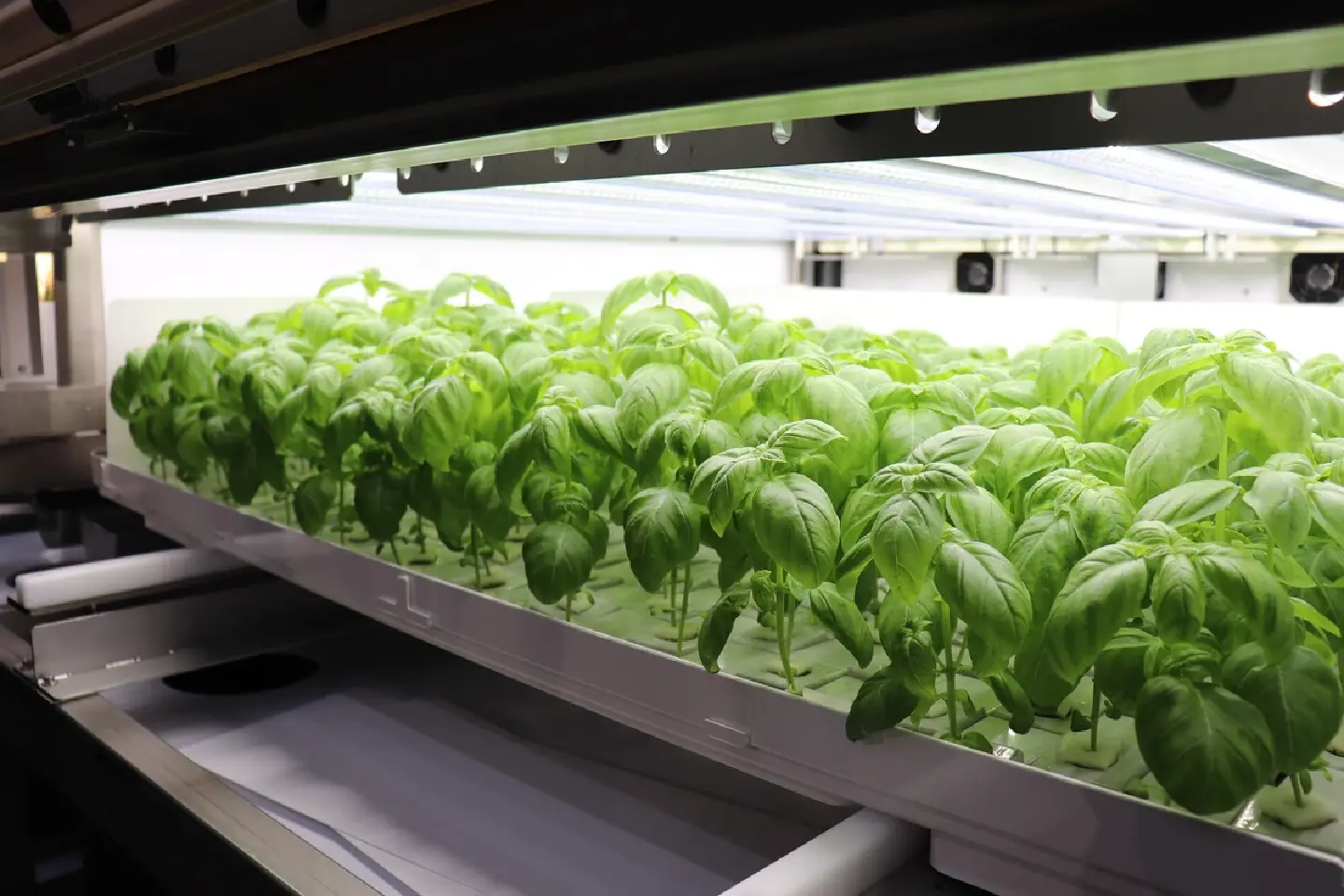 PLANTX unveils Tokyo pilot for modular plant factory technology PLANTX unveils Tokyo pilot for modular plant factory technology