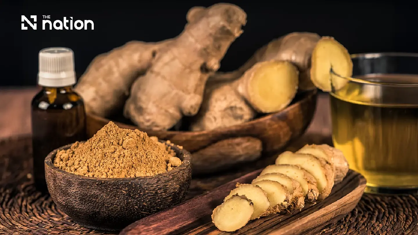 The Rise of Plai: How an Ancient Thai Root Became a Modern Pharmaceutical Heavyweight The Rise of Plai: How an Ancient Thai Root Became a Modern Pharmaceutical Heavyweight
