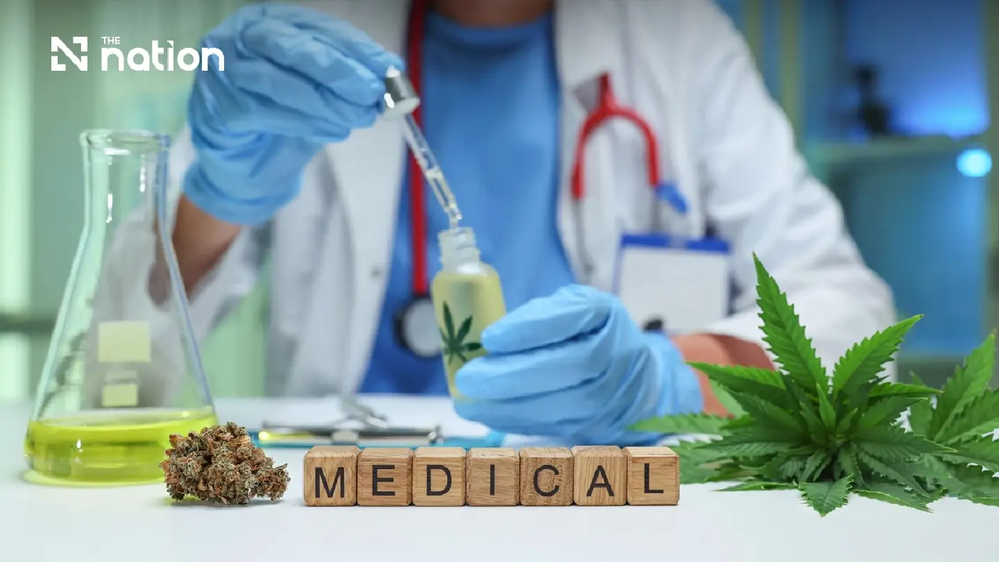 Thailand cannabis draft law targets medical use and shop controls Thailand cannabis draft law targets medical use and shop controls