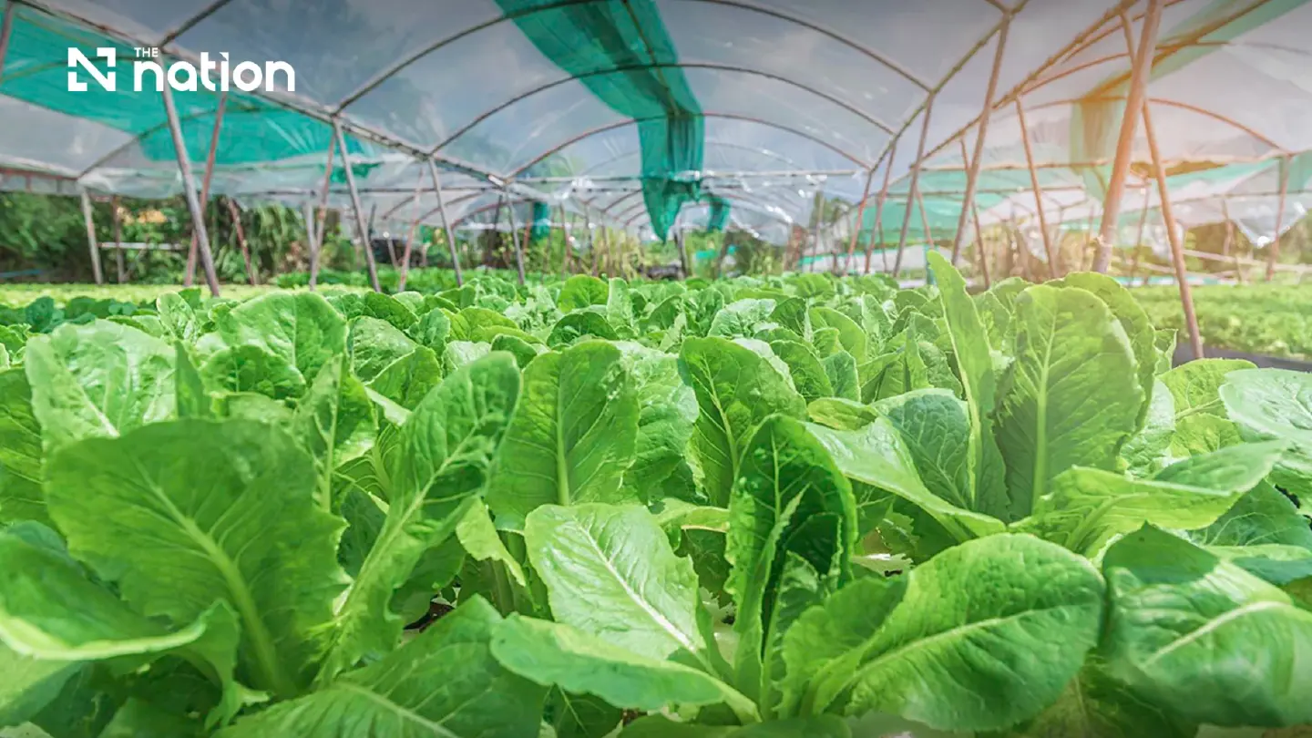 CP Group's Circular Loop: How Thailand's Biggest Conglomerate Is Closing the Agricultural Waste Gap CP Group's Circular Loop: How Thailand's Biggest Conglomerate Is Closing the Agricultural Waste Gap