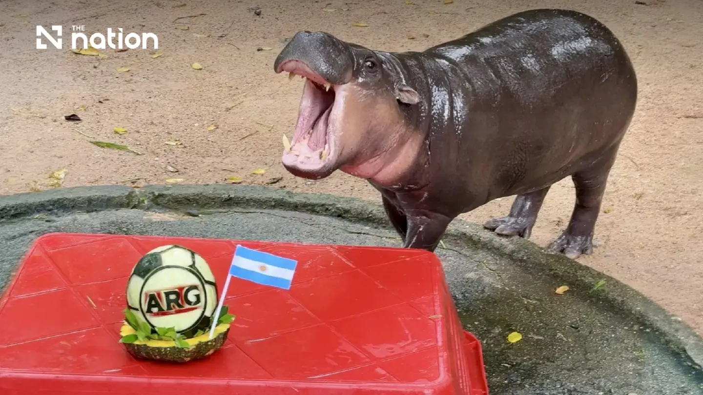 Moo Deng backs Argentina to win World Cup 2026 final