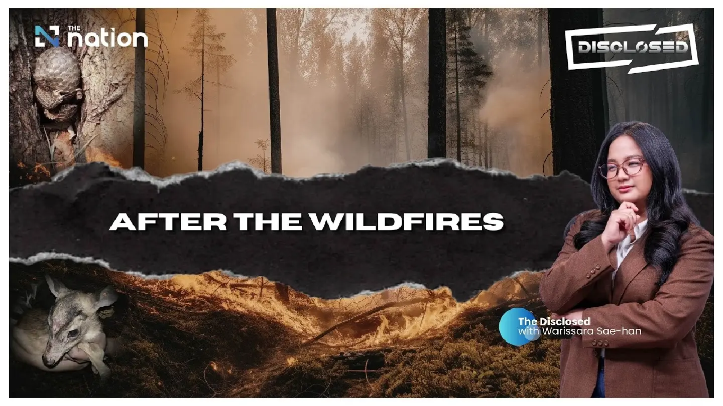 Wildfires ease in Thailand, but long term impacts and damages remain