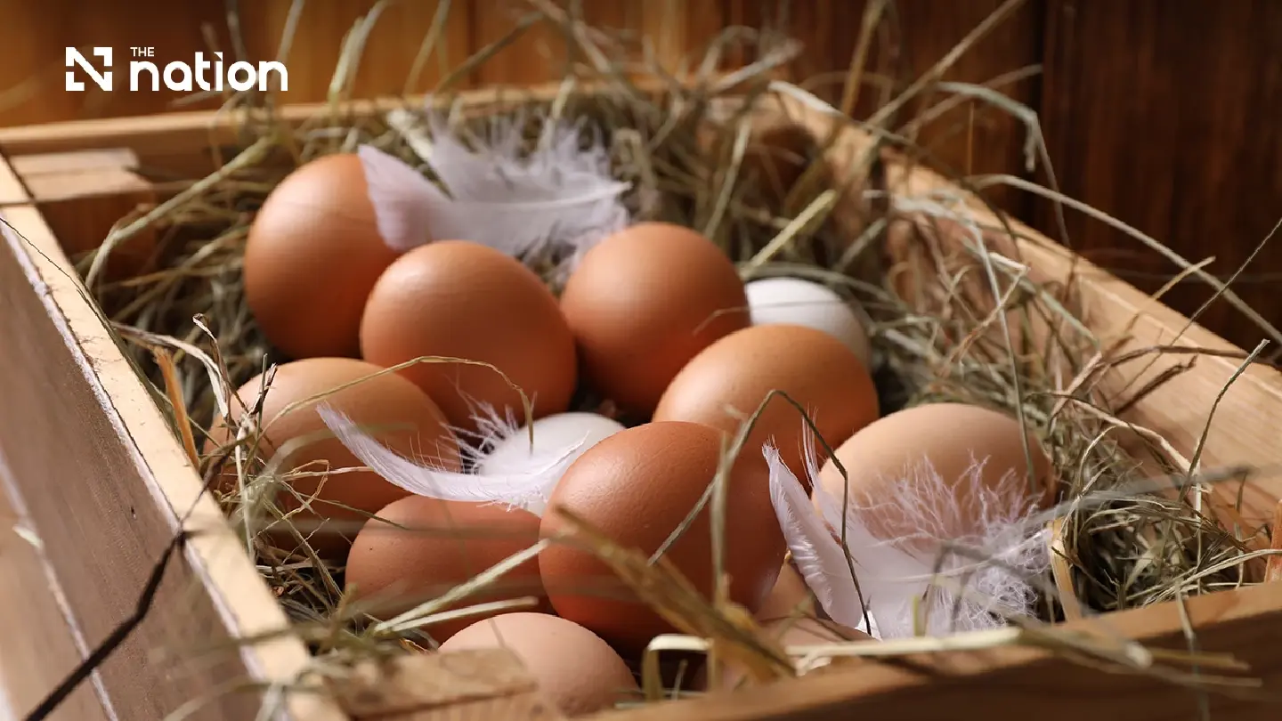 Thailand egg farmers lift mixed-size egg prices by 20 satang Thailand egg farmers lift mixed-size egg prices by 20 satang
