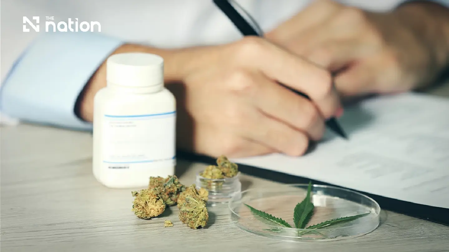 Thailand Set to Limit Cannabis Strictly to Medical Use Thailand Set to Limit Cannabis Strictly to Medical Use