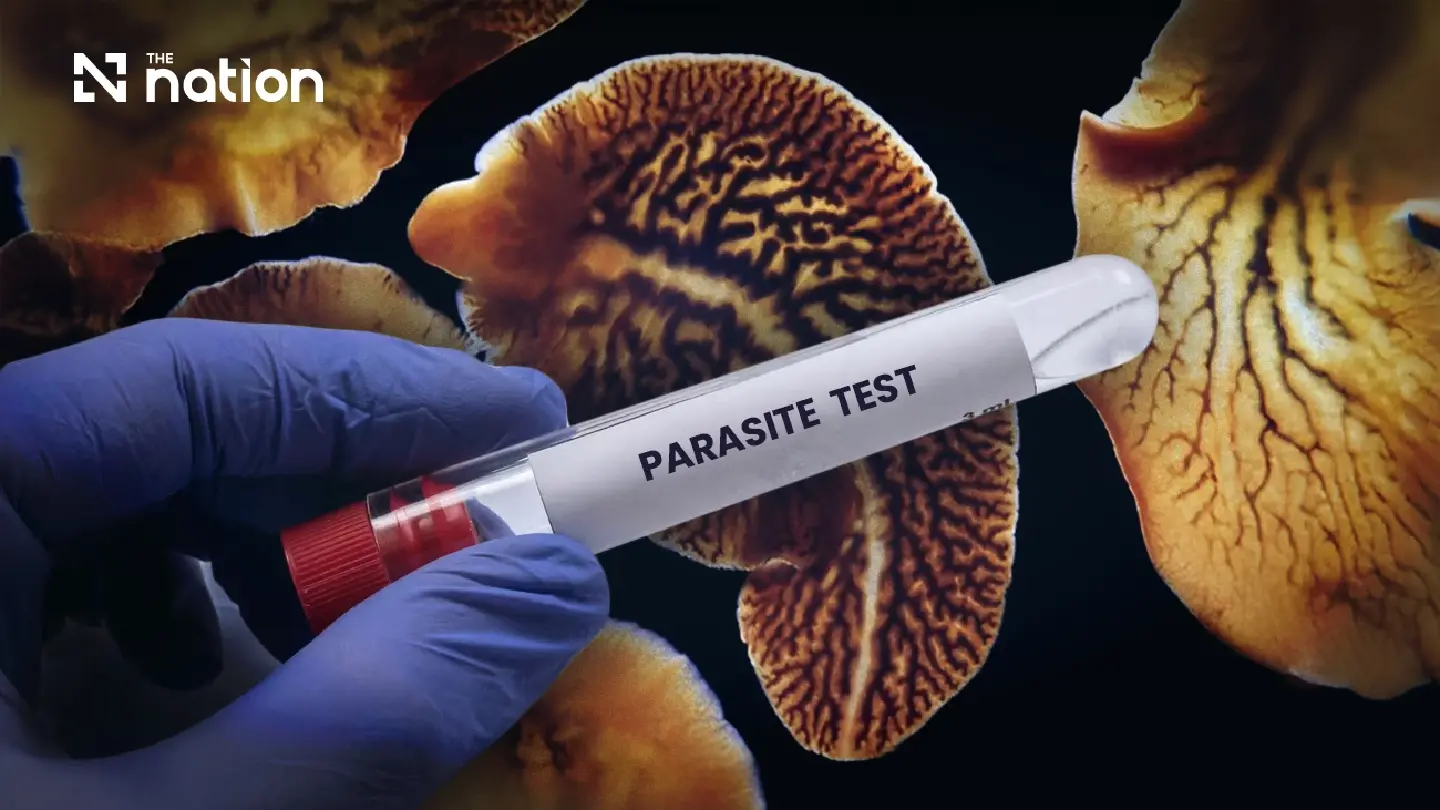 Tests confirm liver fluke infection in four Maha Sarakham students Tests confirm liver fluke infection in four Maha Sarakham students