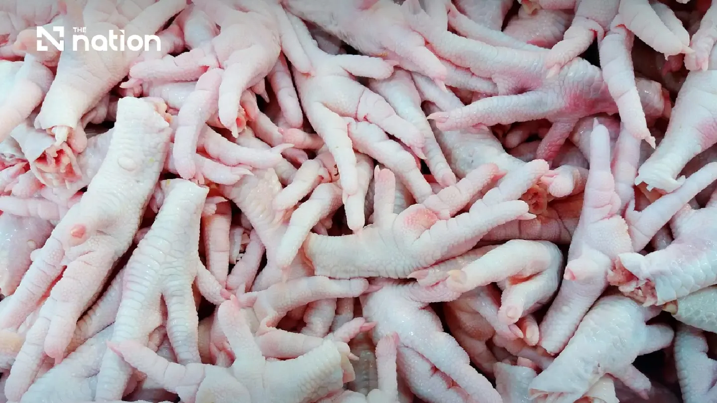 China suspends chicken feet imports from five Thai plants amid origin fraud probe China suspends chicken feet imports from five Thai plants amid origin fraud probe
