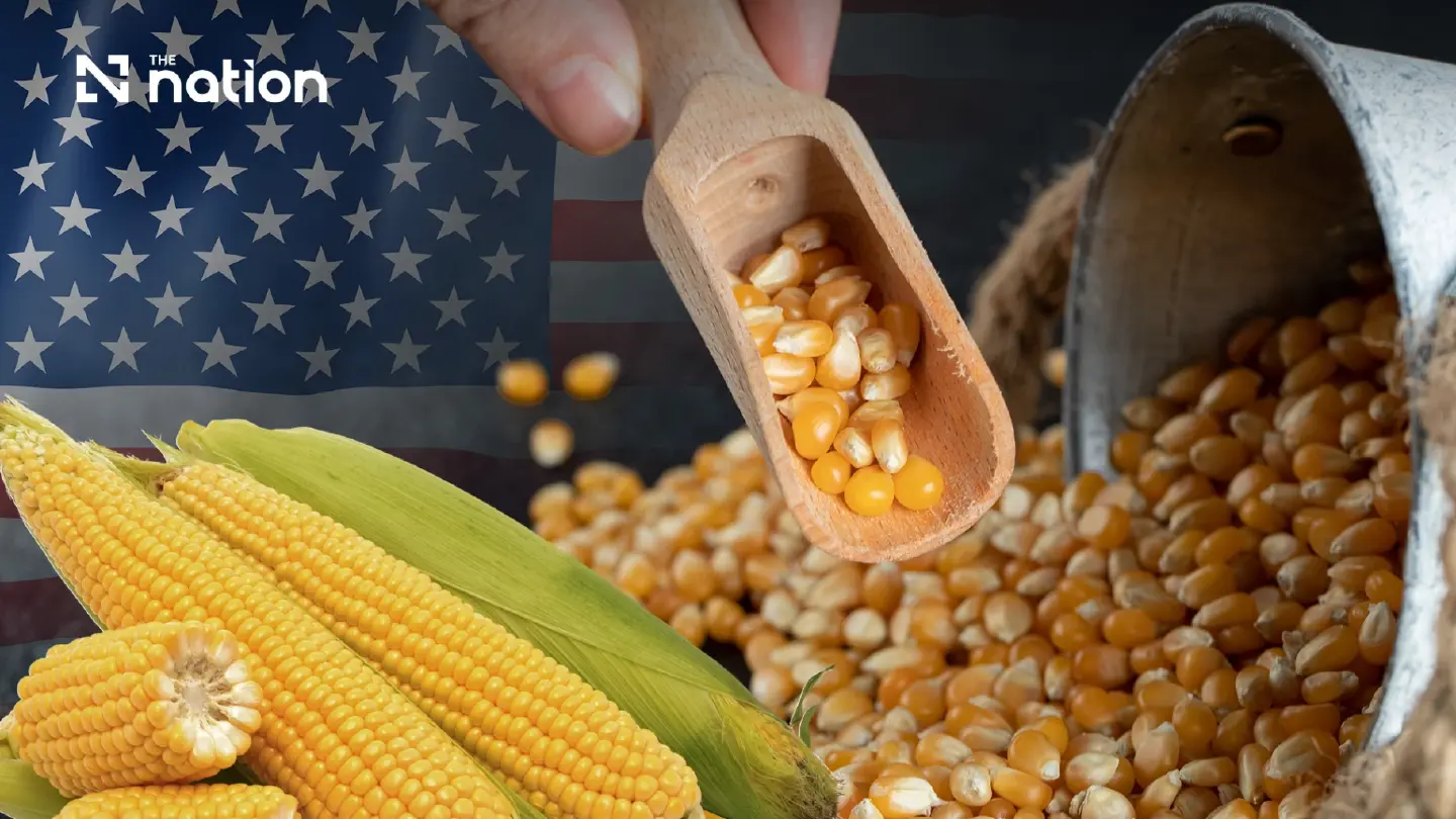 Thailand closes US maize deal for September-October delivery at reference price of B8.99/kg Thailand closes US maize deal for September-October delivery at reference price of B8.99/kg