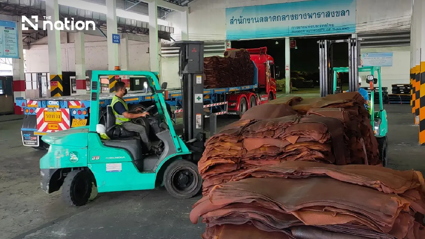 Thailand’s low-risk EUDR status gives Thai rubber a competitive edge Thailand’s low-risk EUDR status gives Thai rubber a competitive edge