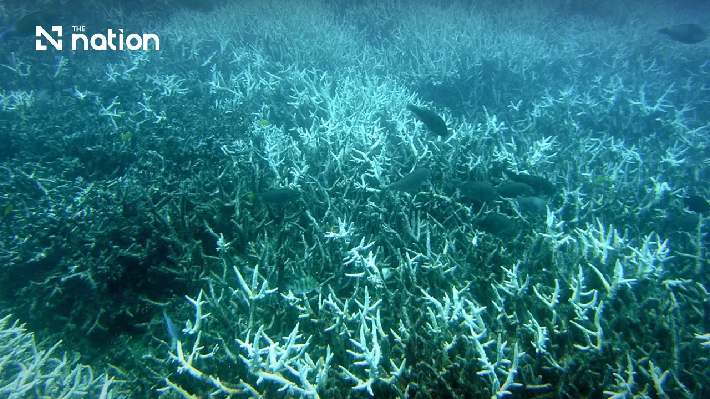 Ocean Temperatures Become Warmer Amid Record-Breaking El Nino Ocean Temperatures Become Warmer Amid Record-Breaking El Nino