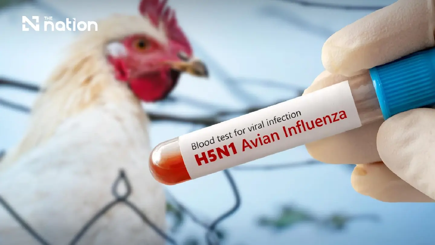 H5N1 bird flu spreads to the Philippines and Australia H5N1 bird flu spreads to the Philippines and Australia