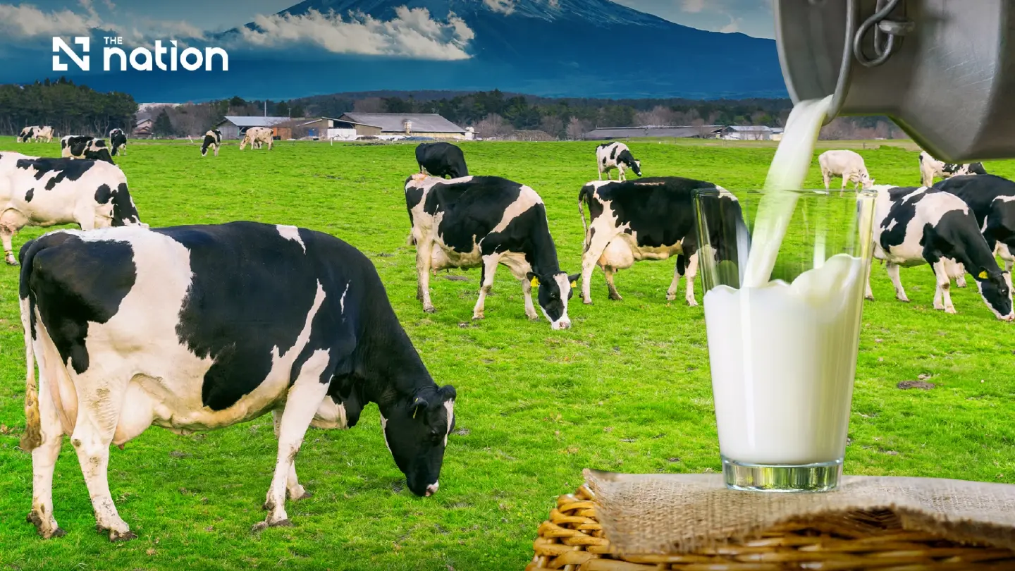Thai dairy sector warns 183 tonnes of raw milk left unsold daily Thai dairy sector warns 183 tonnes of raw milk left unsold daily