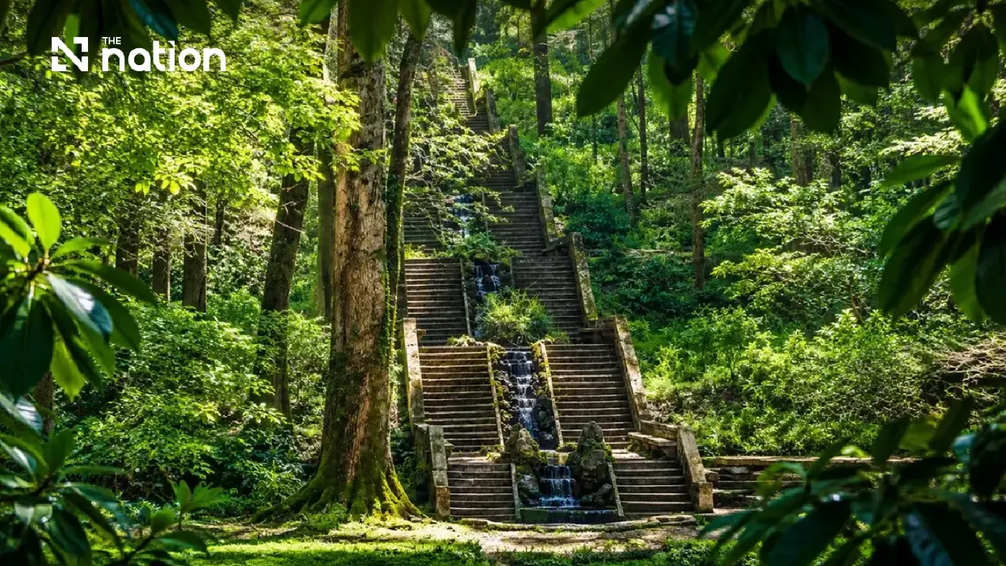 Four certified healing forests bridge care and nature Four certified healing forests bridge care and nature