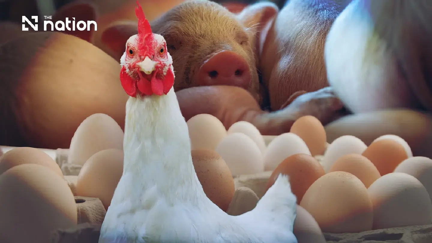Asian Livestock Diverges as Thai Pork and Egg Prices Surge Past Peers Asian Livestock Diverges as Thai Pork and Egg Prices Surge Past Peers