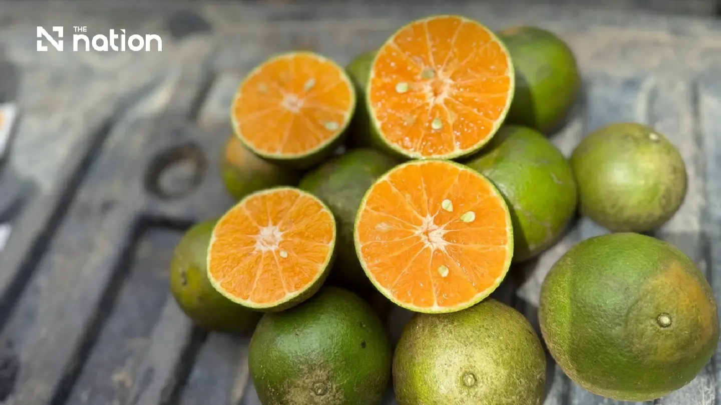 Betong oranges and mangosteens assessed under Thai GI standards Betong oranges and mangosteens assessed under Thai GI standards