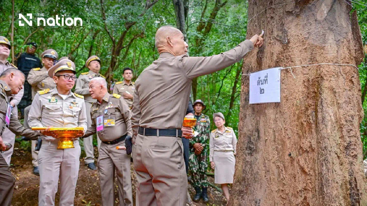 Twenty dead-standing sandalwood trees chosen for royal rites Twenty dead-standing sandalwood trees chosen for royal rites