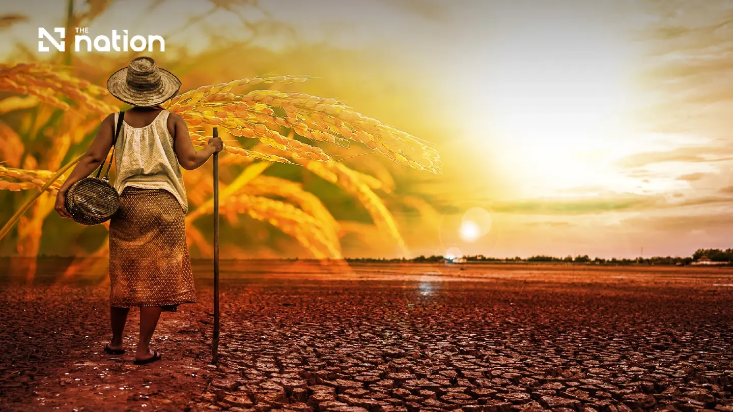 NESDC cites potential THB62 billion El Niño damage to Thai agriculture NESDC cites potential THB62 billion El Niño damage to Thai agriculture