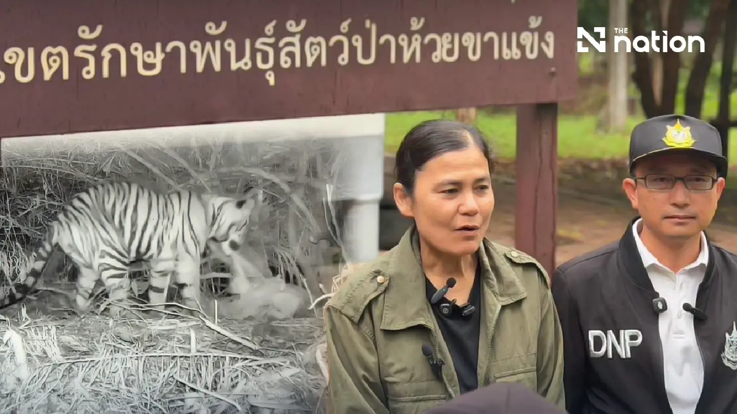 Park Department says fatal Huai Kha Khaeng tiger attack accidental