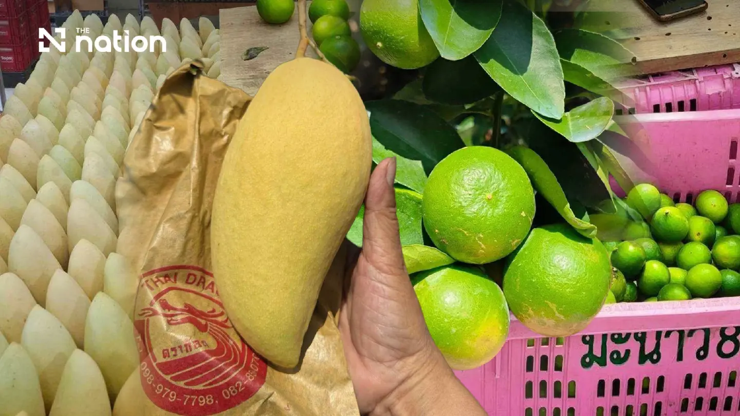 Two Ratchaburi fruits gain GI status to boost local economy Two Ratchaburi fruits gain GI status to boost local economy