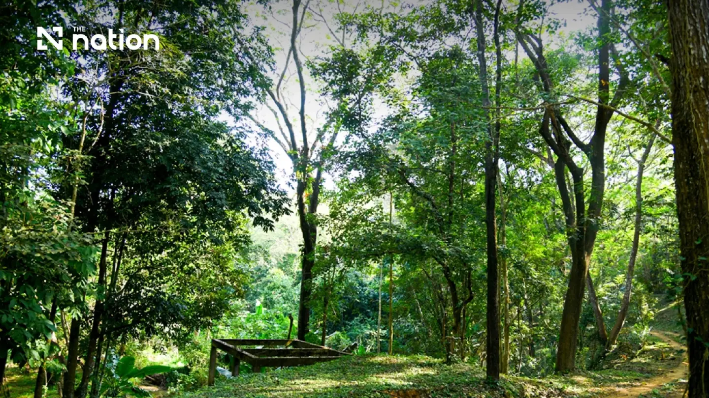 Nan floods refocus debate over forests and watershed management Nan floods refocus debate over forests and watershed management