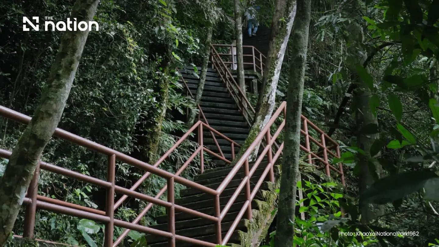 Thailand launches 10 hiking schools for responsible forest tourism Thailand launches 10 hiking schools for responsible forest tourism