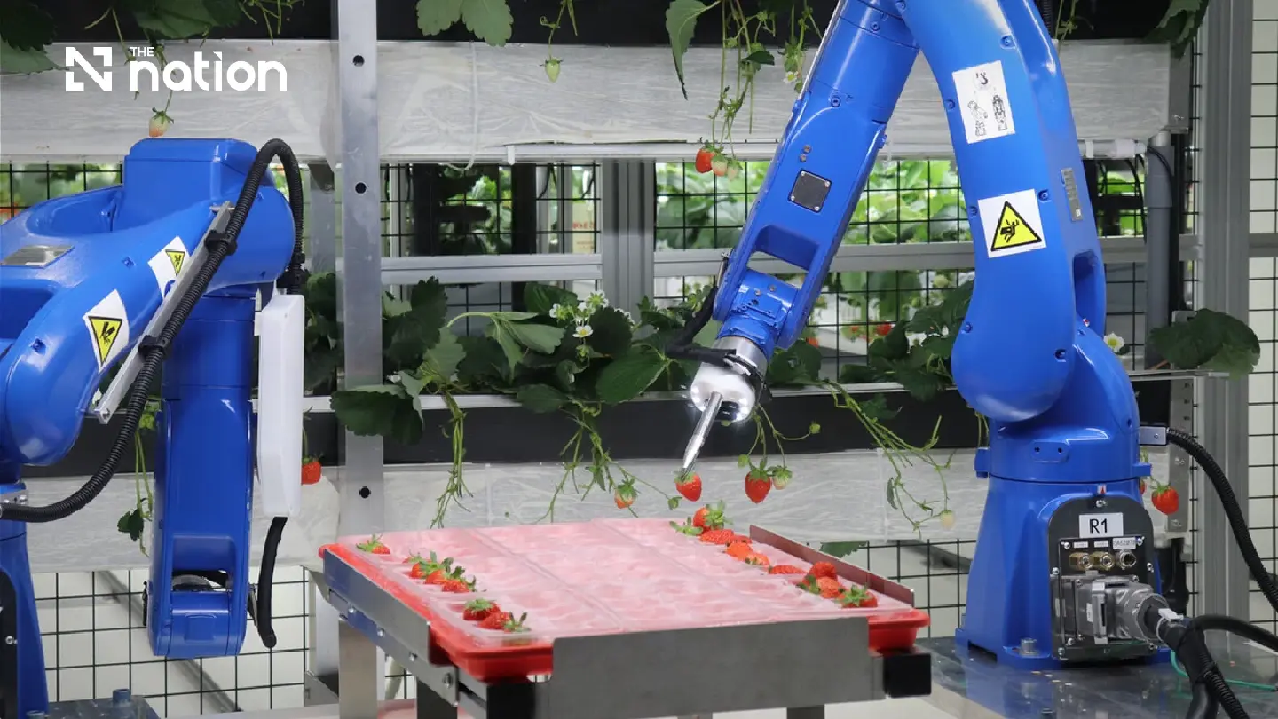 US-based Oishii Farm opens western Tokyo R&D centre for indoor farming US-based Oishii Farm opens western Tokyo R&D centre for indoor farming