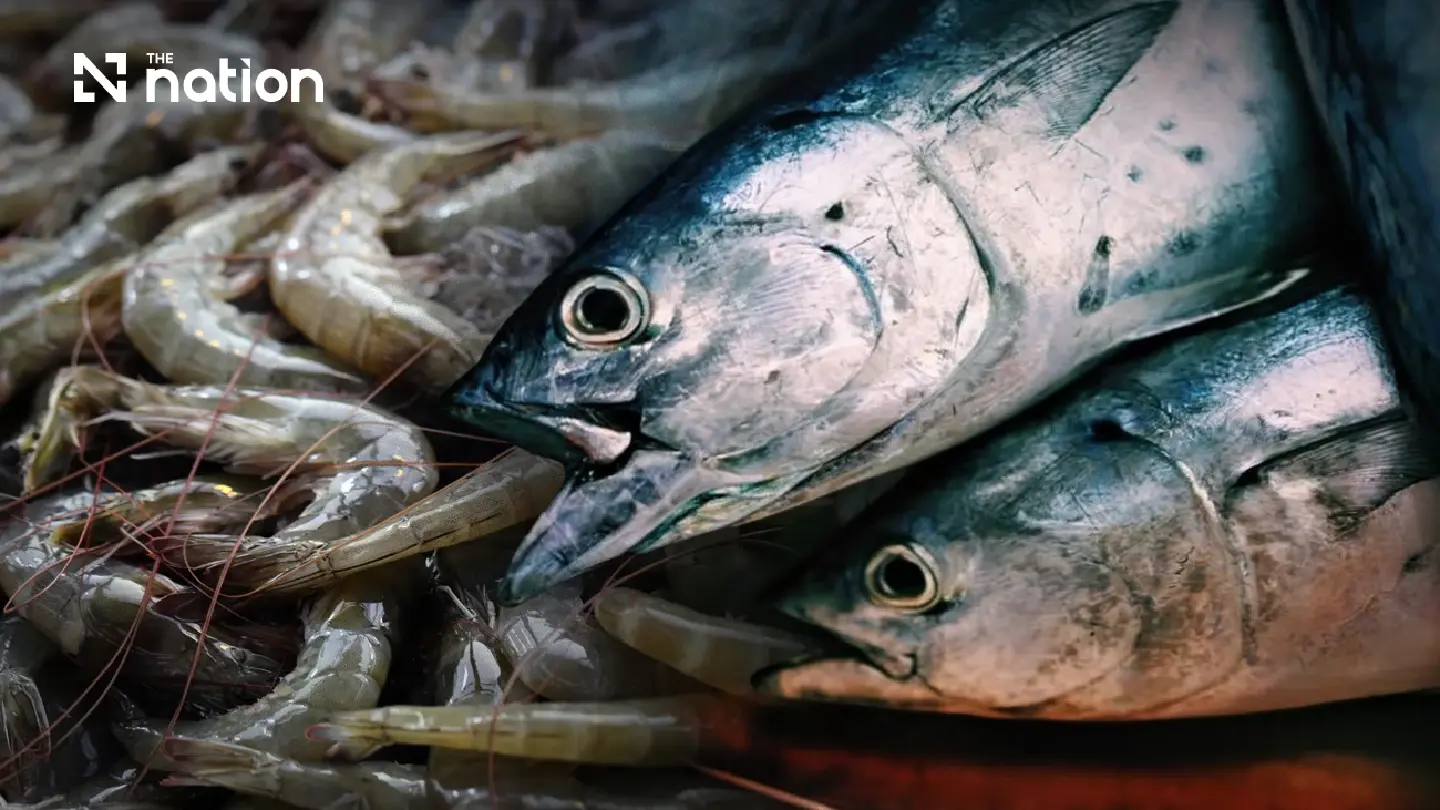 Thai tuna tipped to weather US tariff as shrimp faces tougher competition Thai tuna tipped to weather US tariff as shrimp faces tougher competition