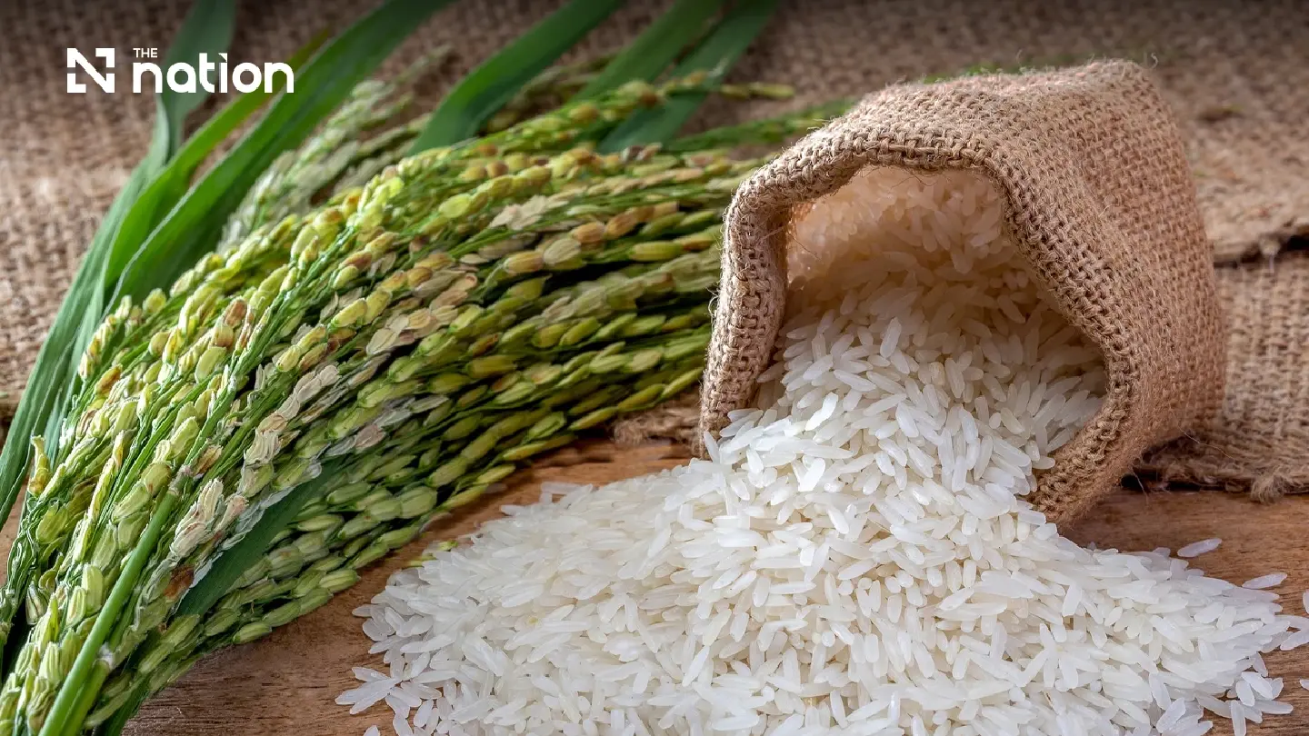Thai rice regains Malaysia lead with 20-year high forecast Thai rice regains Malaysia lead with 20-year high forecast