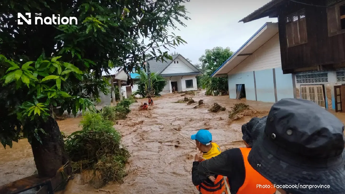 Forest loss may amplify Nan flood risk, studies find Forest loss may amplify Nan flood risk, studies find