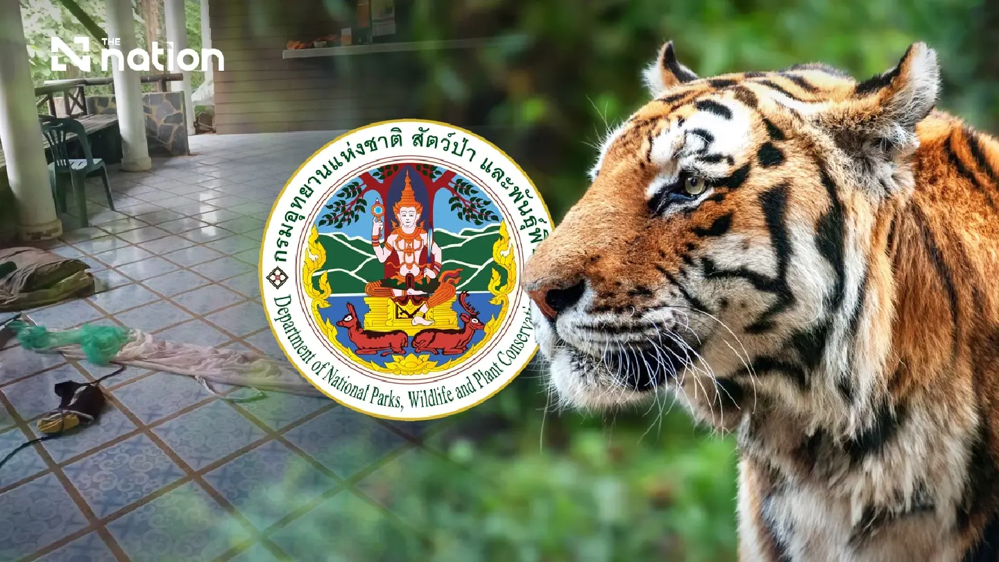 Huai Kha Khaeng tiger poses extreme danger after hunting human, expert warns of copycat behaviour Huai Kha Khaeng tiger poses extreme danger after hunting human, expert warns of copycat behaviour