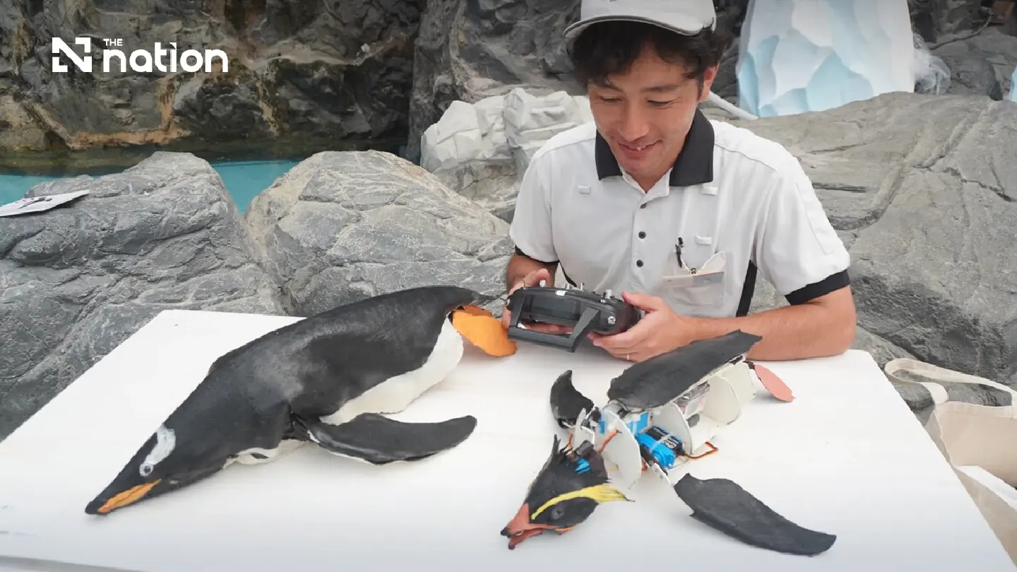Japanese theme park displays two robot penguins among live penguins Japanese theme park displays two robot penguins among live penguins