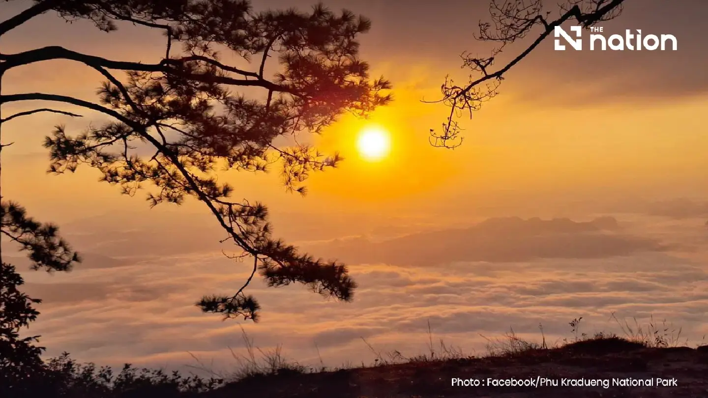 Phu Kradueng National Park reopens for 2026-27 hiking season