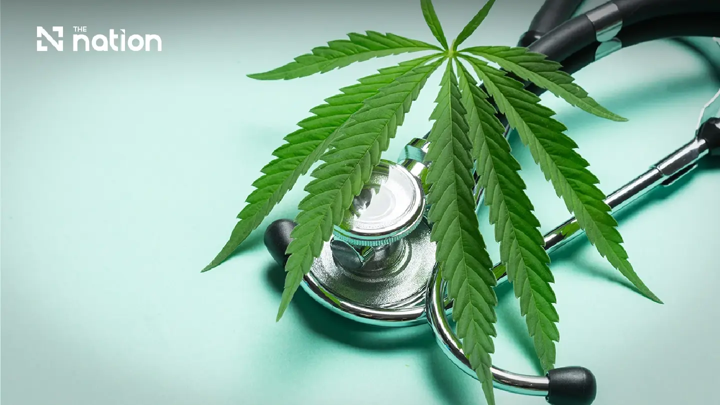 Thai cabinet endorses draft cannabis control bill for medical use Thai cabinet endorses draft cannabis control bill for medical use
