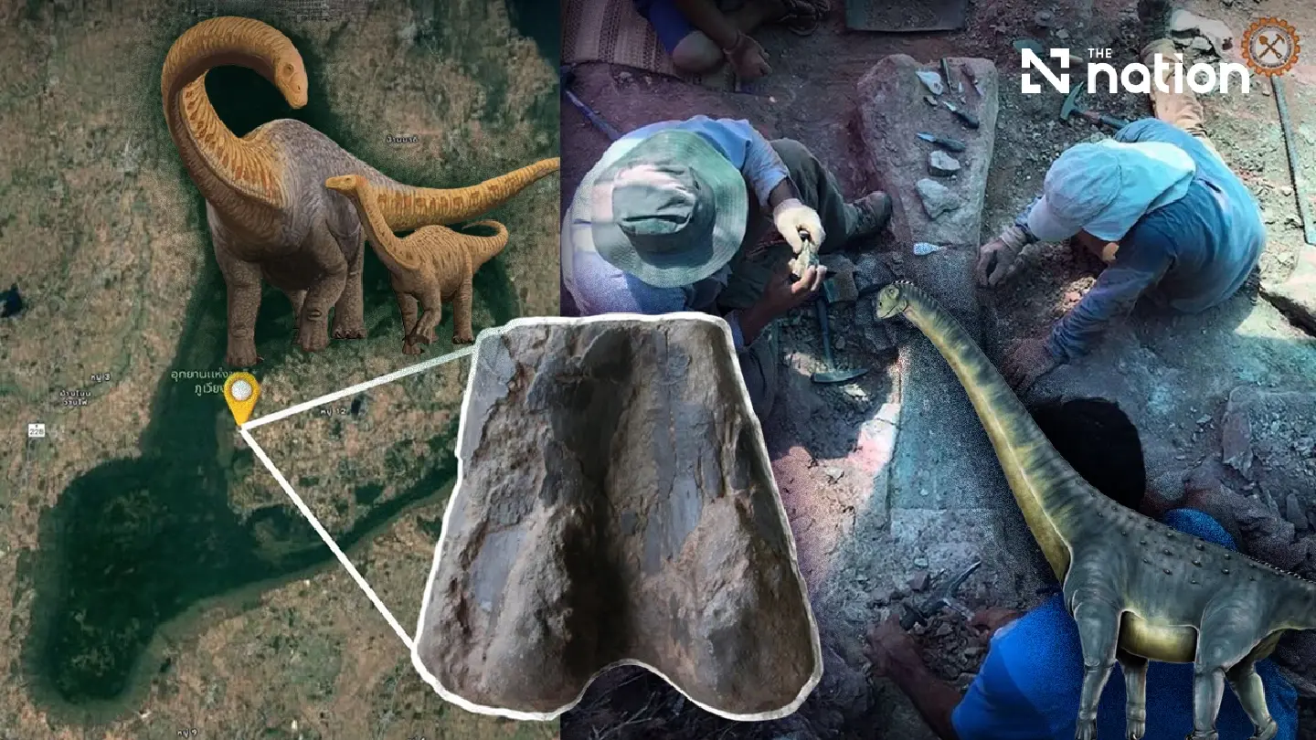 The Dawn of the Siamese Giants: Celebrating 50 Years of Thailand’s Dinosaur Renaissance The Dawn of the Siamese Giants: Celebrating 50 Years of Thailand’s Dinosaur Renaissance