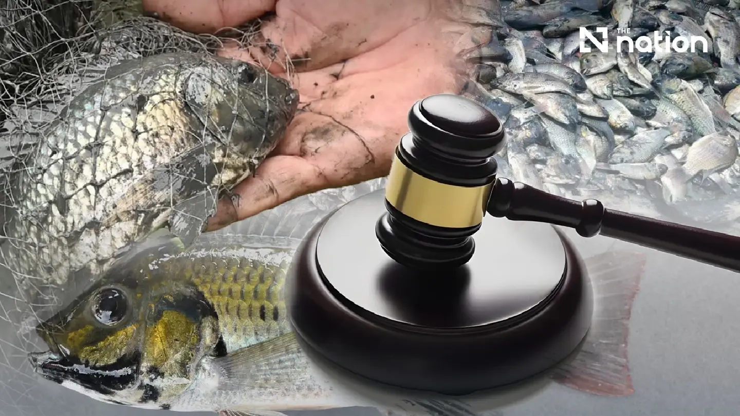 Court rejects damages bid against CPF over blackchin tilapia Court rejects damages bid against CPF over blackchin tilapia