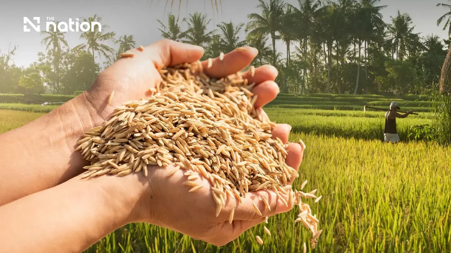Commerce Ministry plans rice export push after 19.26% fall in Jan–Sept 2026 Commerce Ministry plans rice export push after 19.26% fall in Jan–Sept 2026