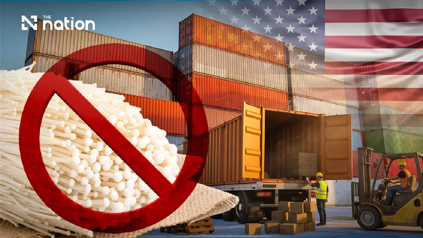 Thai FDA finds no imports from Chinese enoki producer flagged by US Thai FDA finds no imports from Chinese enoki producer flagged by US