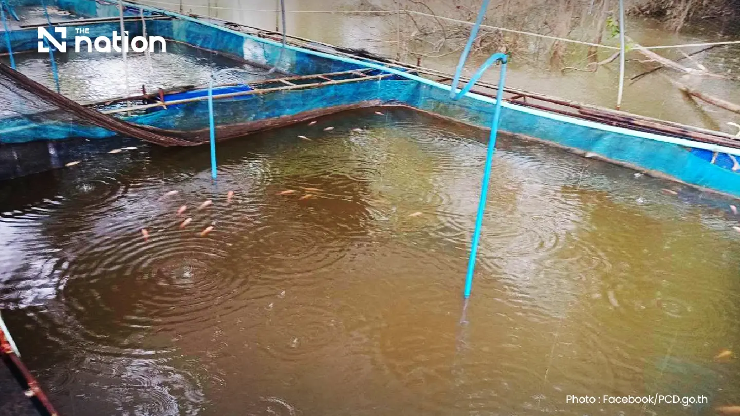 Aluminium source unconfirmed as Thai river investigation continues Aluminium source unconfirmed as Thai river investigation continues