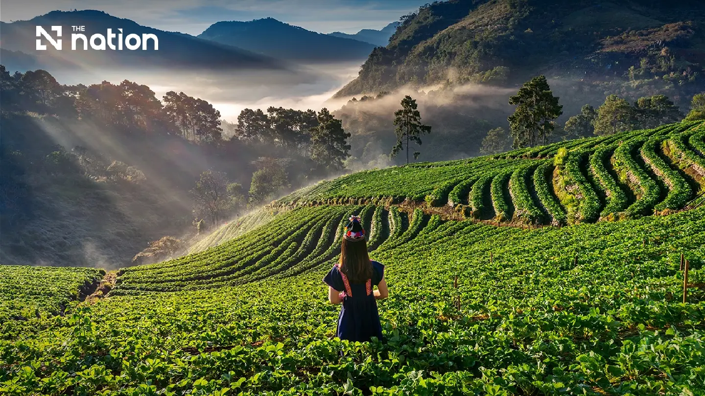 Chiang Mai tops 2026 Southeast Asia safety index at 77.9 points Chiang Mai tops 2026 Southeast Asia safety index at 77.9 points