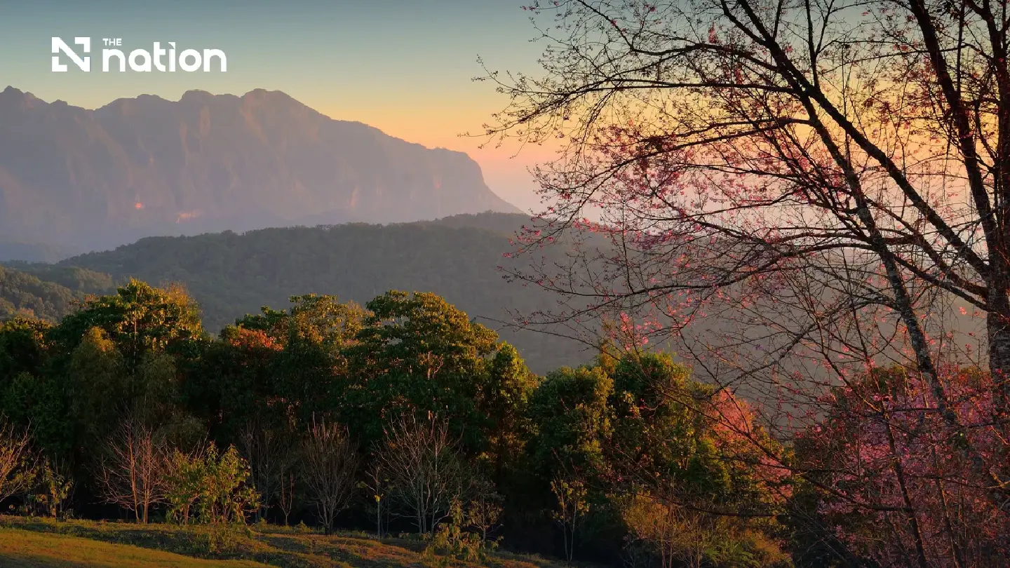 Doi Luang Chiang Dao opens online bookings for 2026–27 treks Doi Luang Chiang Dao opens online bookings for 2026–27 treks