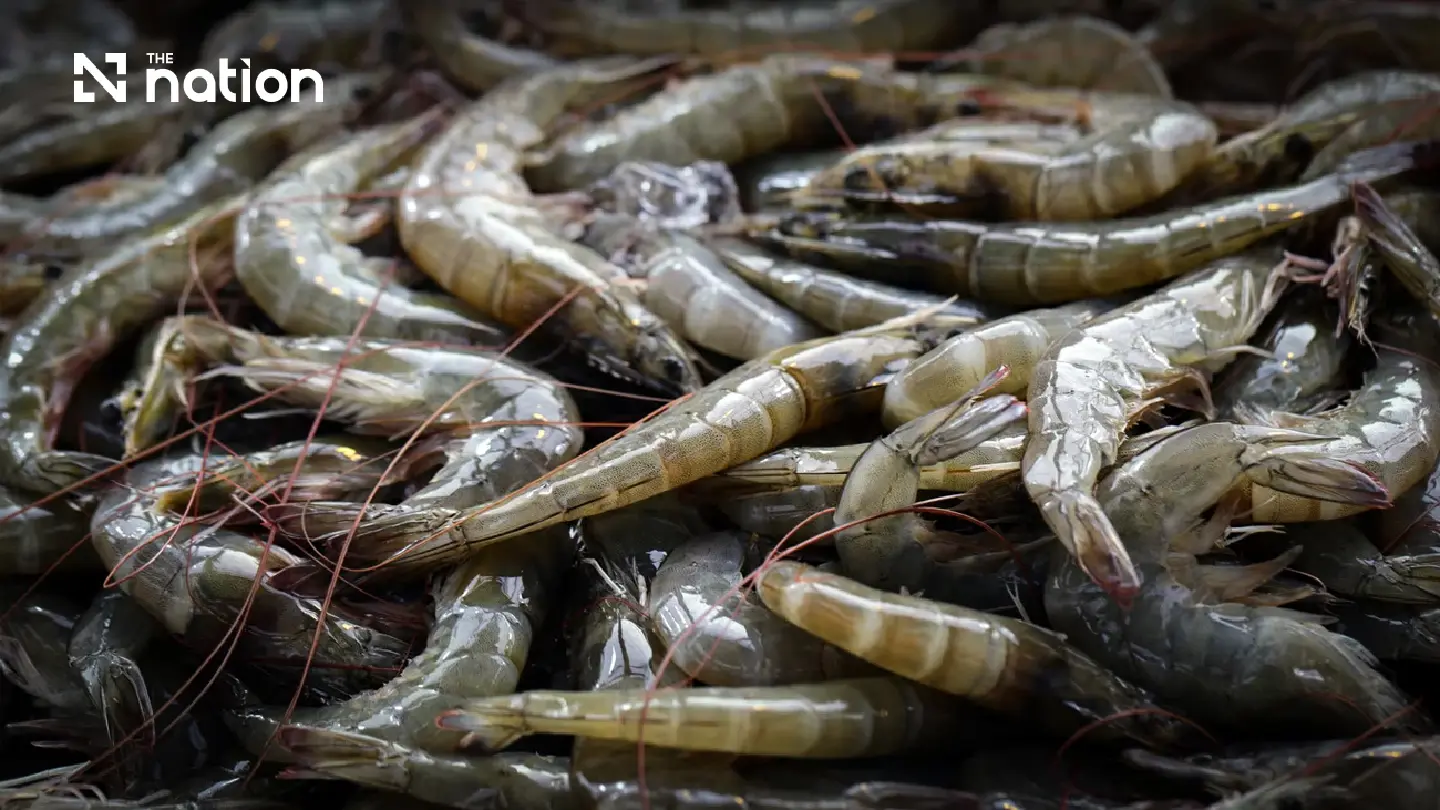 Floods deepen Thai shrimp crisis amid disease and export setbacks Floods deepen Thai shrimp crisis amid disease and export setbacks