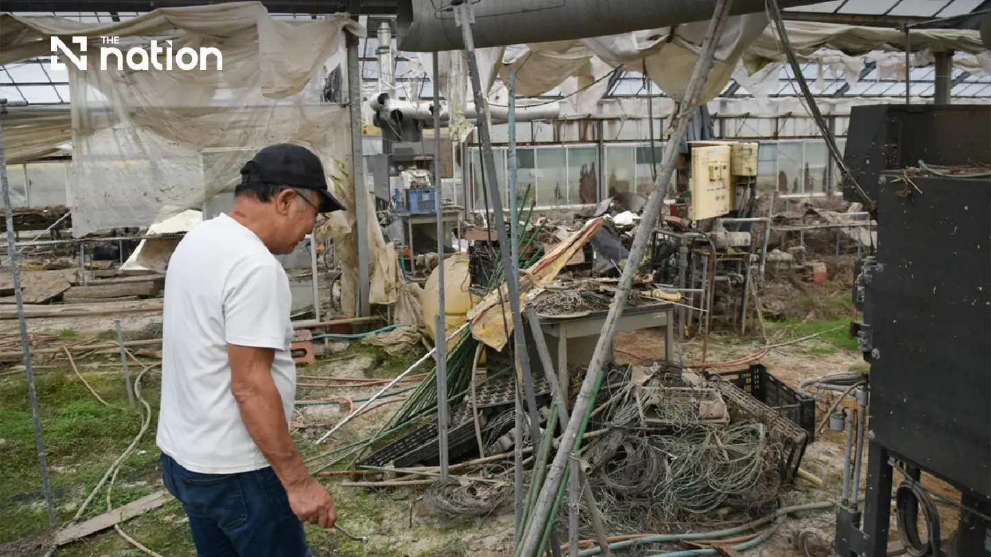 Japan's Chiba faces months of recovery after Typhoon Dujuan Japan's Chiba faces months of recovery after Typhoon Dujuan