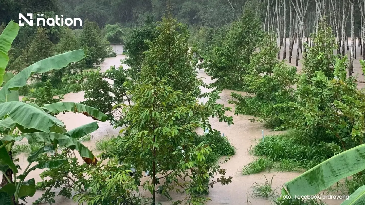 Thailand floods hit 1.7m rai including over 26,000 rai of orchards Thailand floods hit 1.7m rai including over 26,000 rai of orchards